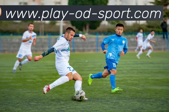 App Interface Preview