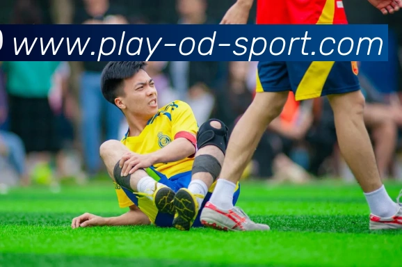 OD体育APP 封面图